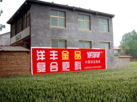  剑河如何让墙体广告展现最大化效果