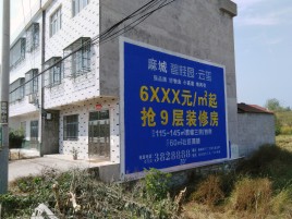  剑河墙体广告质量分析